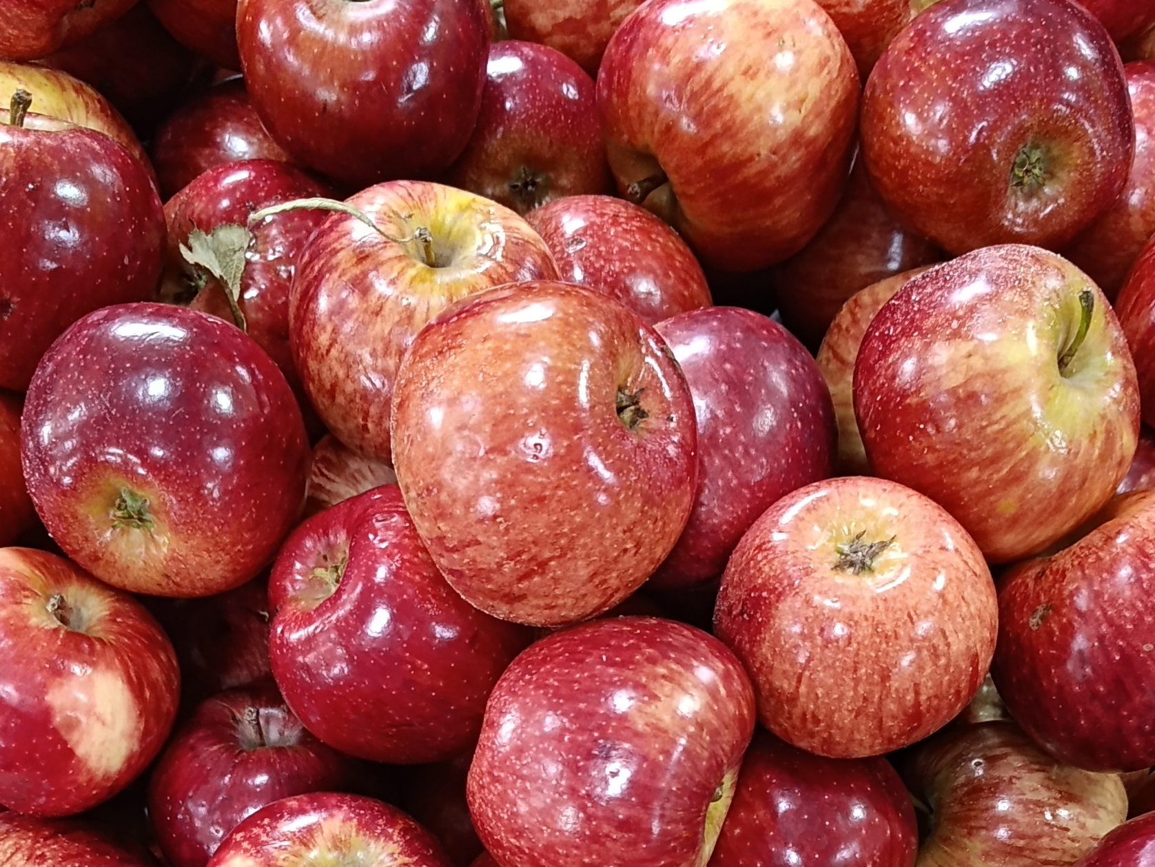 Manzana Chica