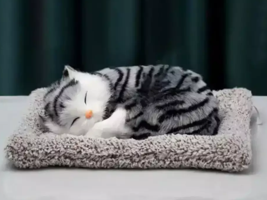 Gatito durmiendo chico/mediano/grande