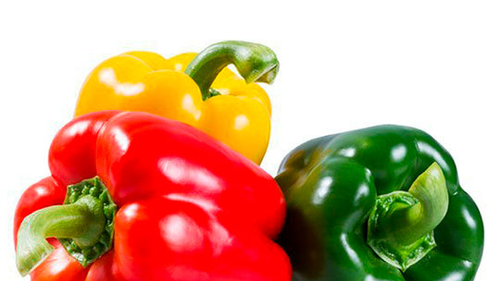 PIMIENTOS MORRONES ENTEROS