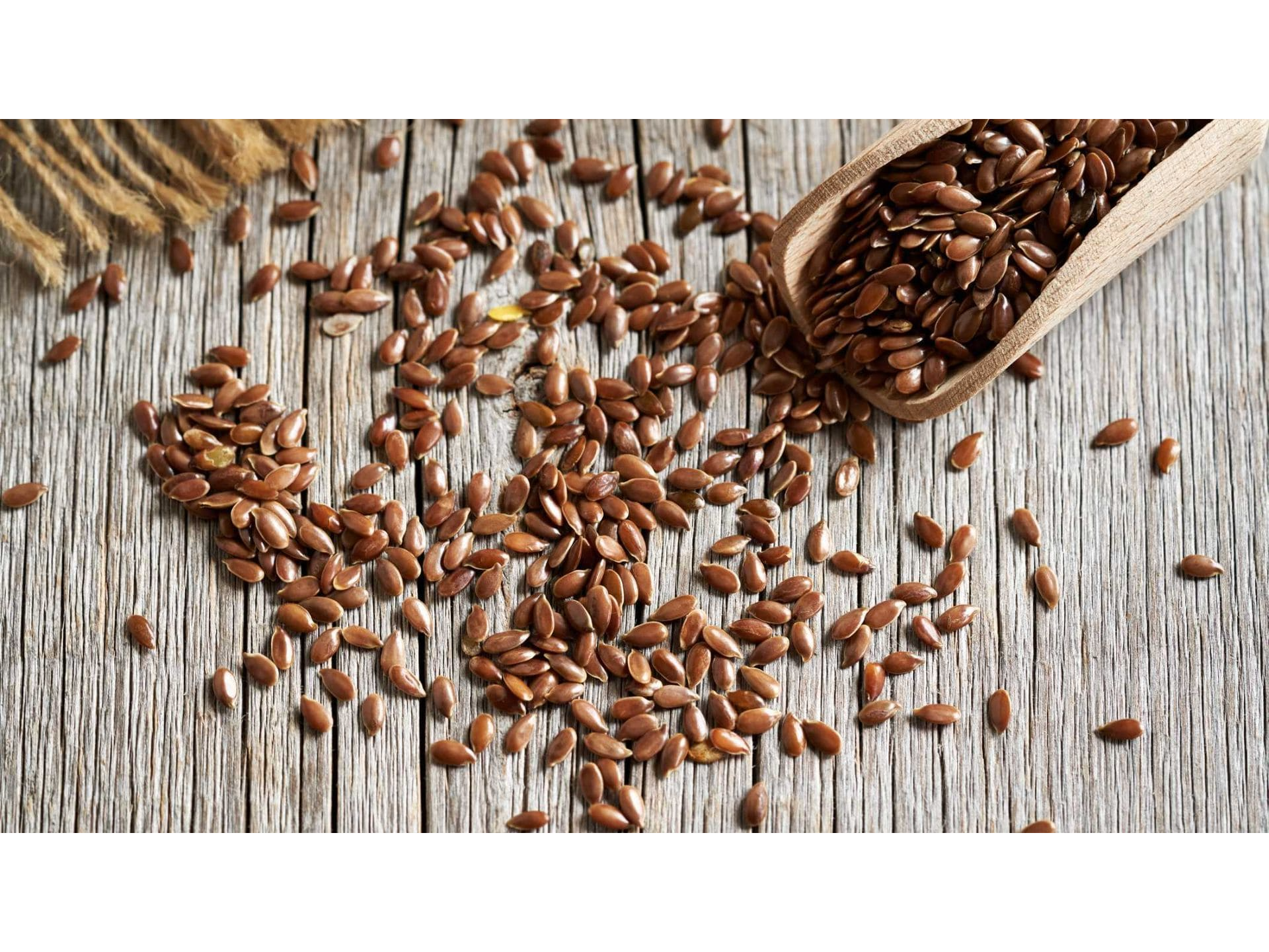 SEMILLA DE LINO