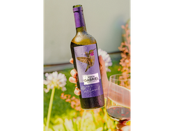 FINCA GABRIEL COLIBRI