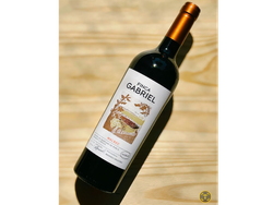 FINA GABRIEL CABERNET SAUVIGNON