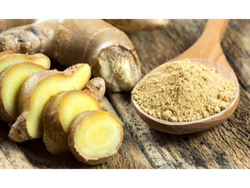 JENGIBRE MOLIDO SELECCION X 100 GR