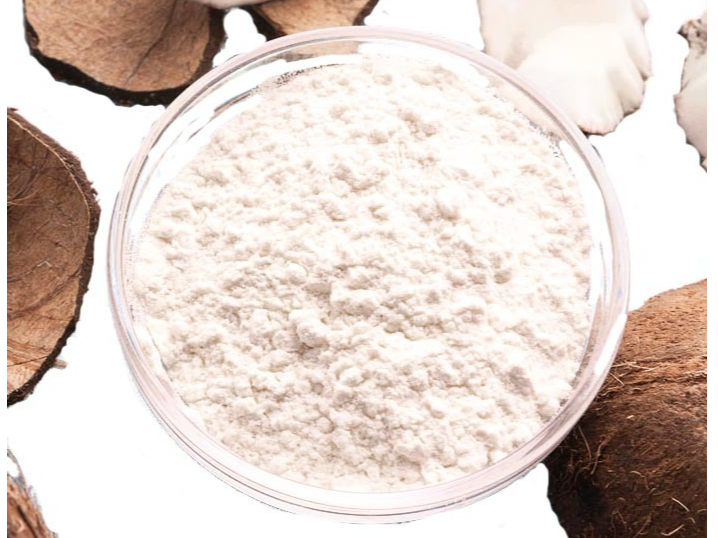 LECHE DE COCO EN POLVO