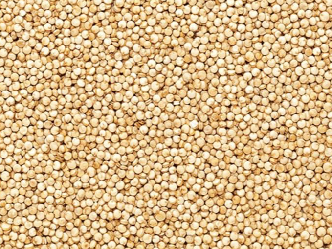 SEMILLA DE QUINOA PERUANA