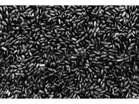ARROZ NEGRO