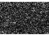 ARROZ NEGRO