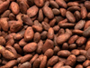 SEMILLA DE CACAO