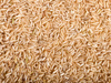ARROZ LARGO FINO INTEGRAL