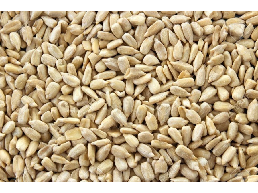 SEMILLA DE GIRASOL x 25 Kg