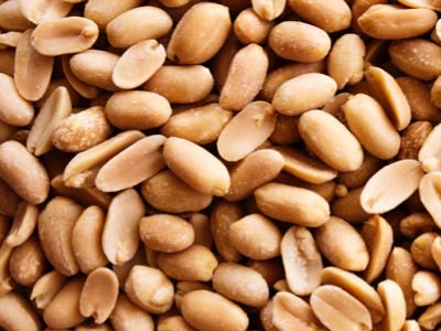 MANI TOSTADO SIN SAL