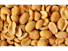 MANI TOSTADO SALADO x 25 kg PREMIUM
