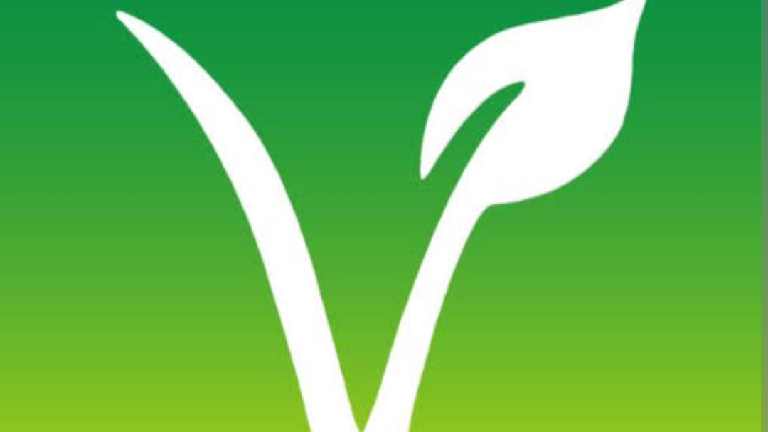 Todo VEGANO