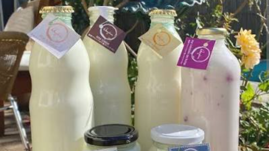 Yogures y Leches Vegetales