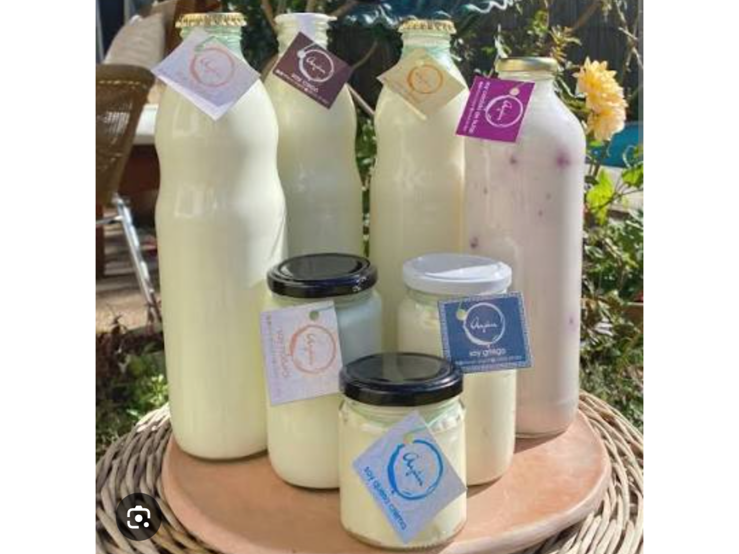 Yogurt Natural colchón Frutas