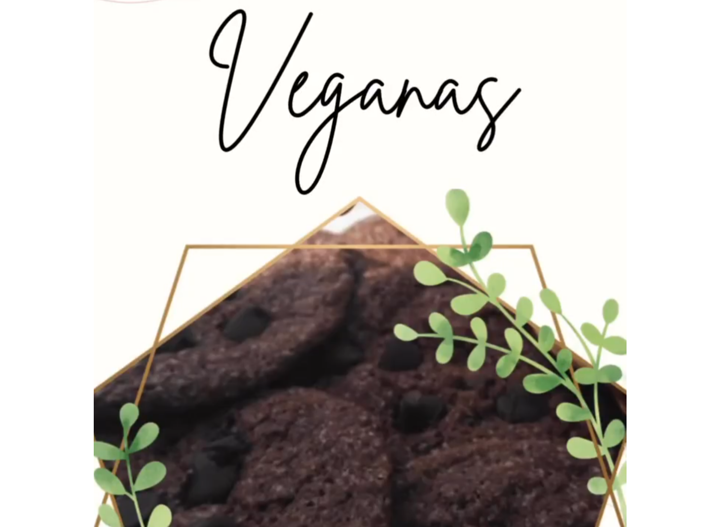 Galletas Choco chpis