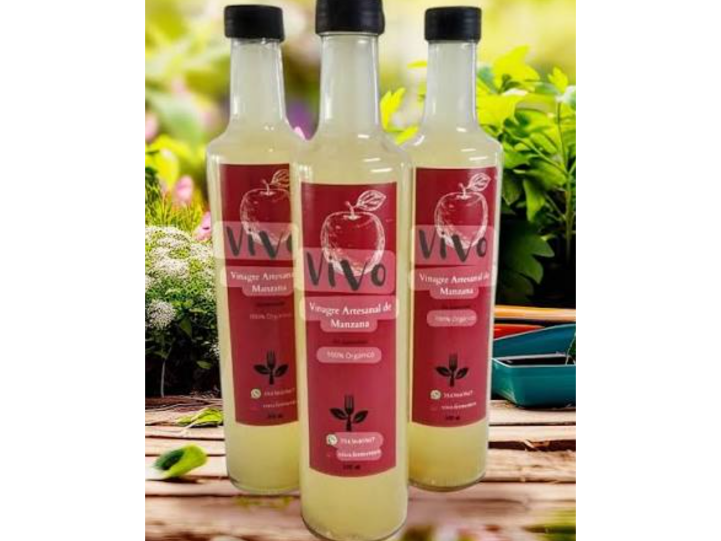 Vinagre de Sidra de Manzana VIVO