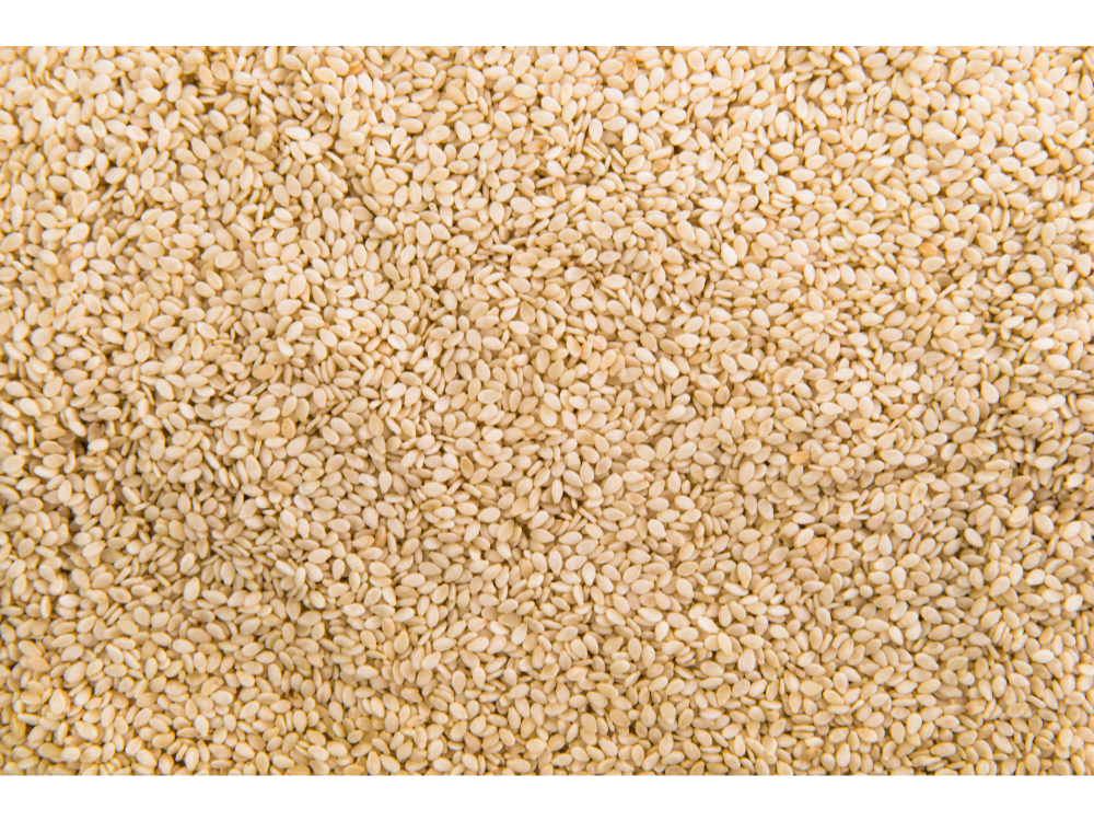 Semilla de Sésamo Blanco
