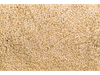 Semilla de Sésamo Blanco