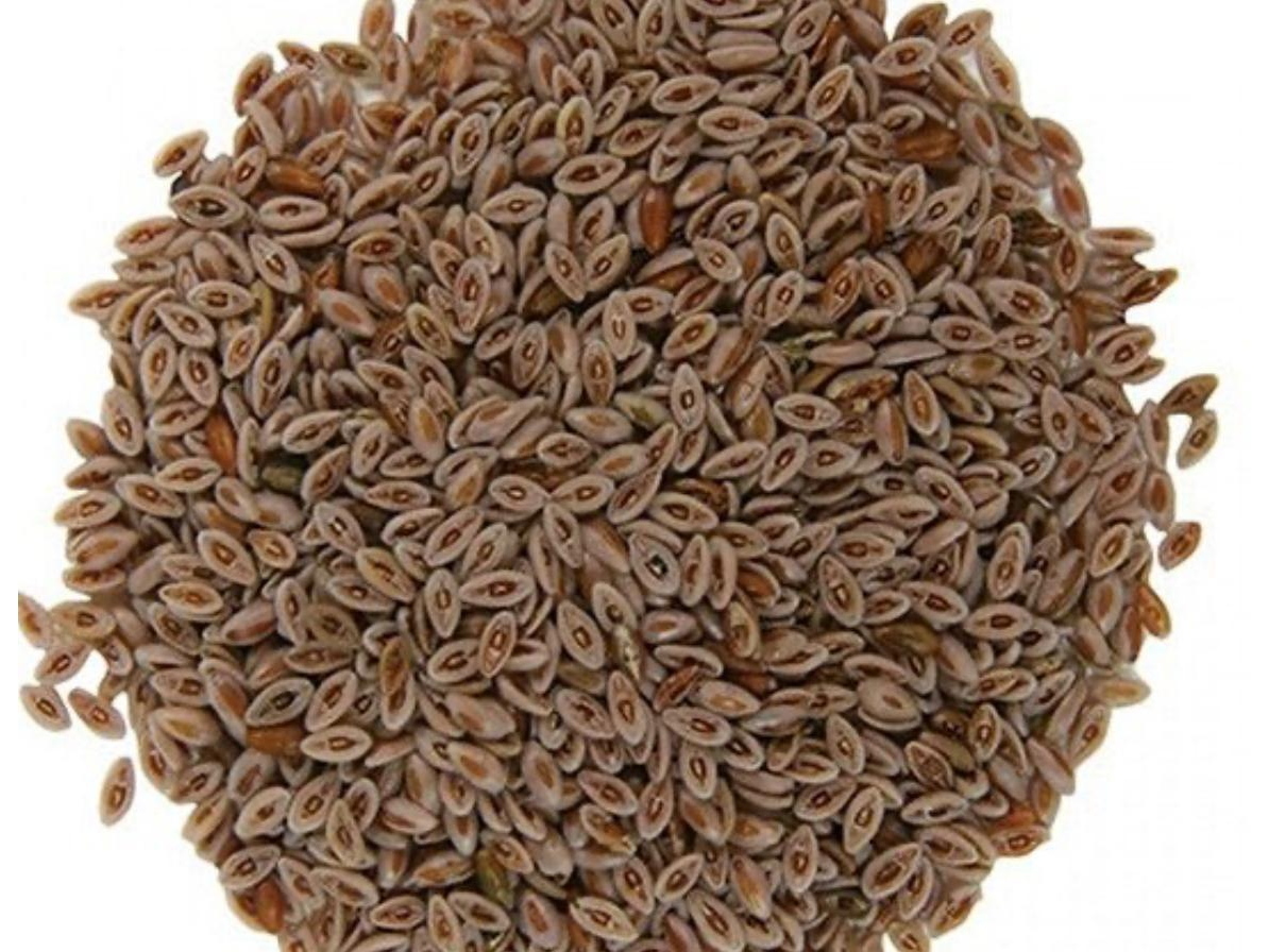 Semillas de Psyllium 100 grs