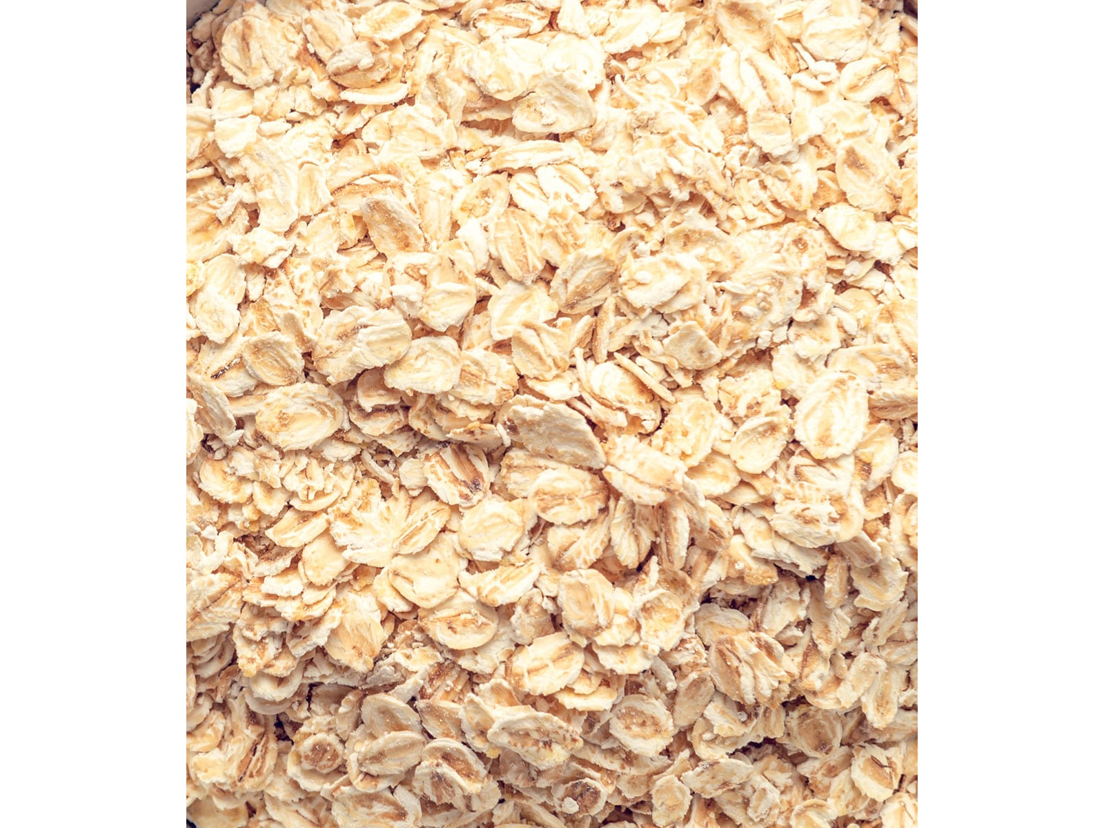 Avena Arrollada Fina