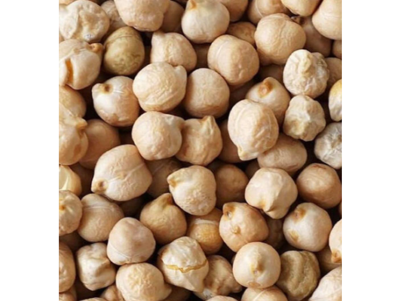 Garbanzo kilo