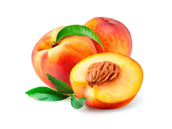 Durazno Amarillo Primera