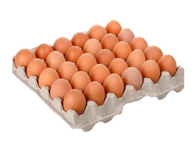 Maple  Huevo Color Mediano