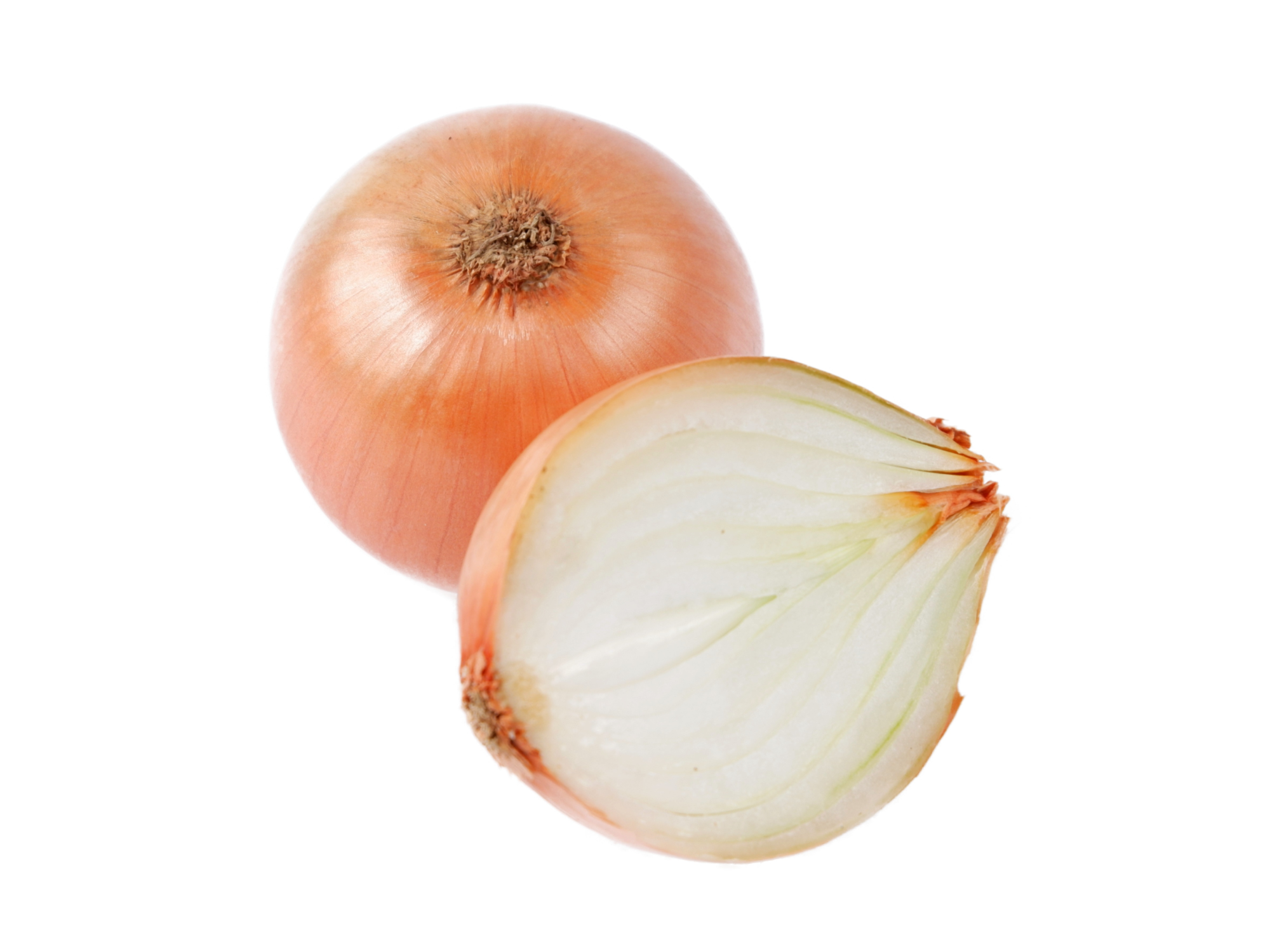 Cebolla Primera Calidad