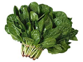 Espinaca de Invierno