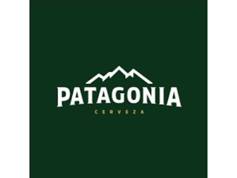 Cerveza Patagonia Lata 500ml