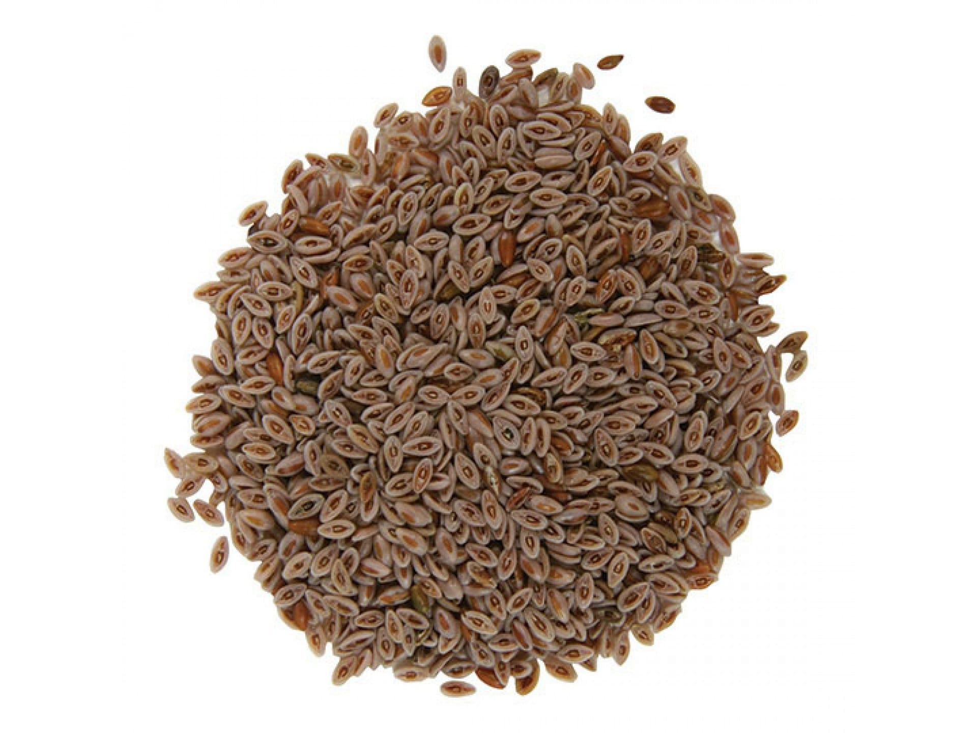 Psyllium en semillas