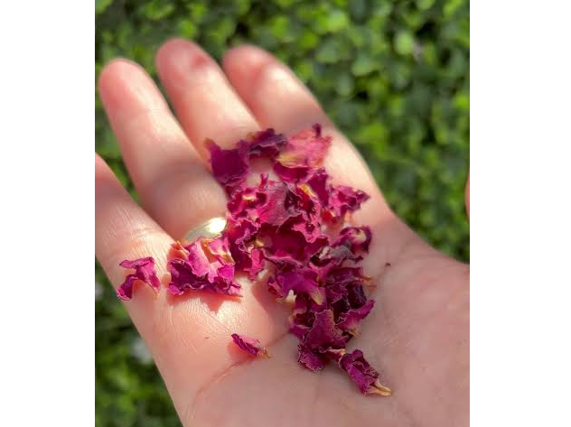 Pétalos de Rosa