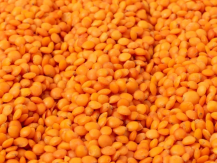 Lenteja turca x 100 gramos