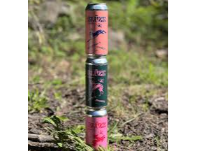 Kombucha v/sabores Blute Patagonia