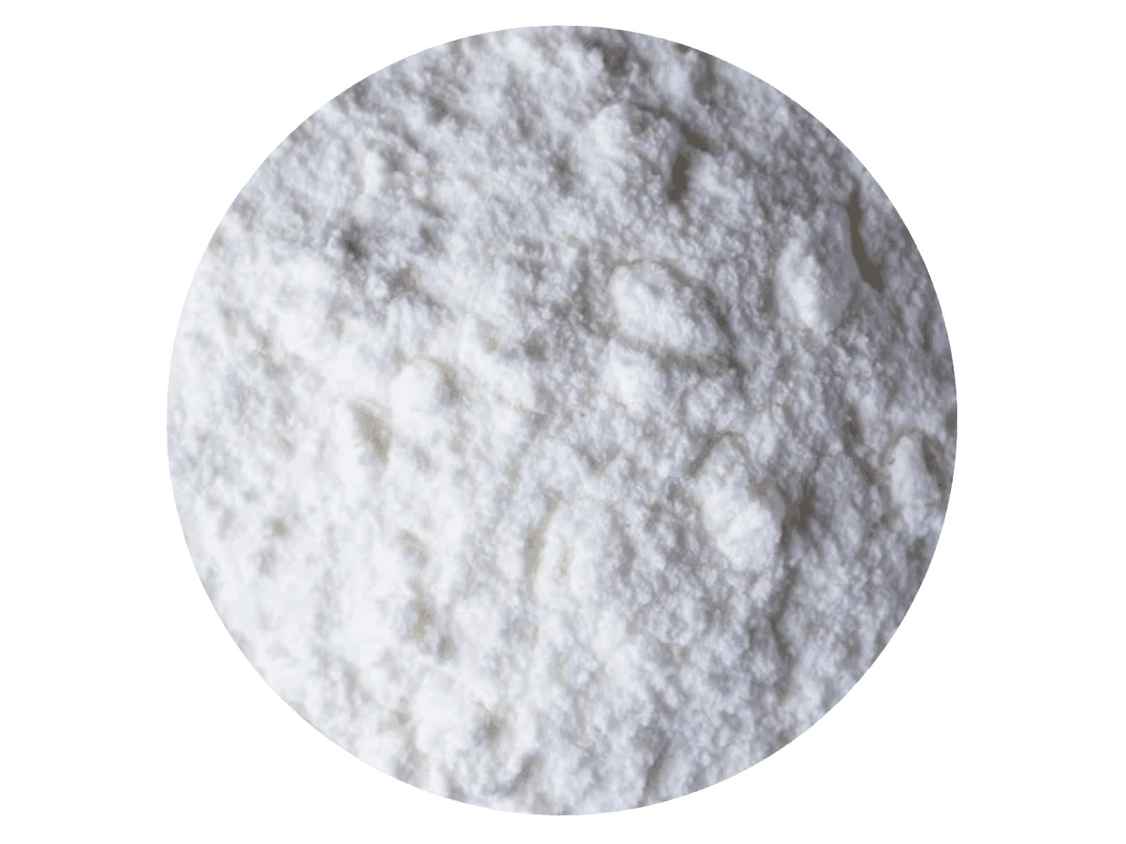 Leche de coco en polvo x 100 gramos