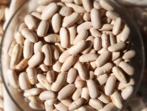 Poroto Alubia x 100 gramos