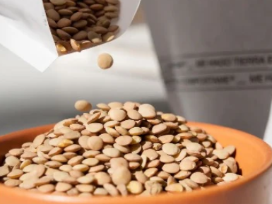 Lenteja x 100 gramos