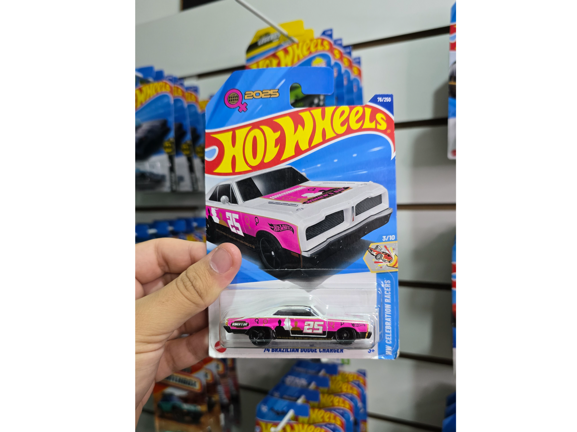 '74 Brazilian Dodge Charger - Hot Wheels Mattel
