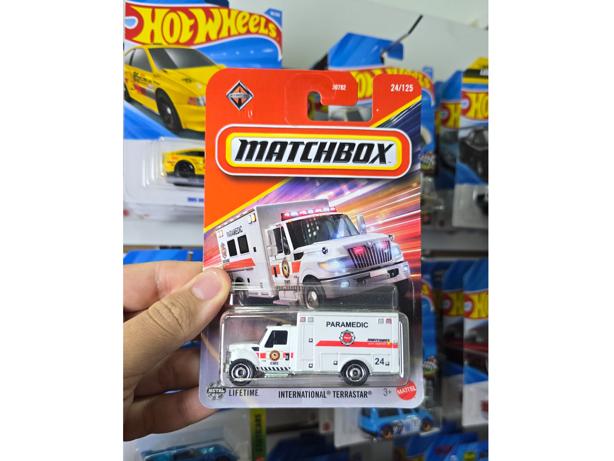 International Terrastar
