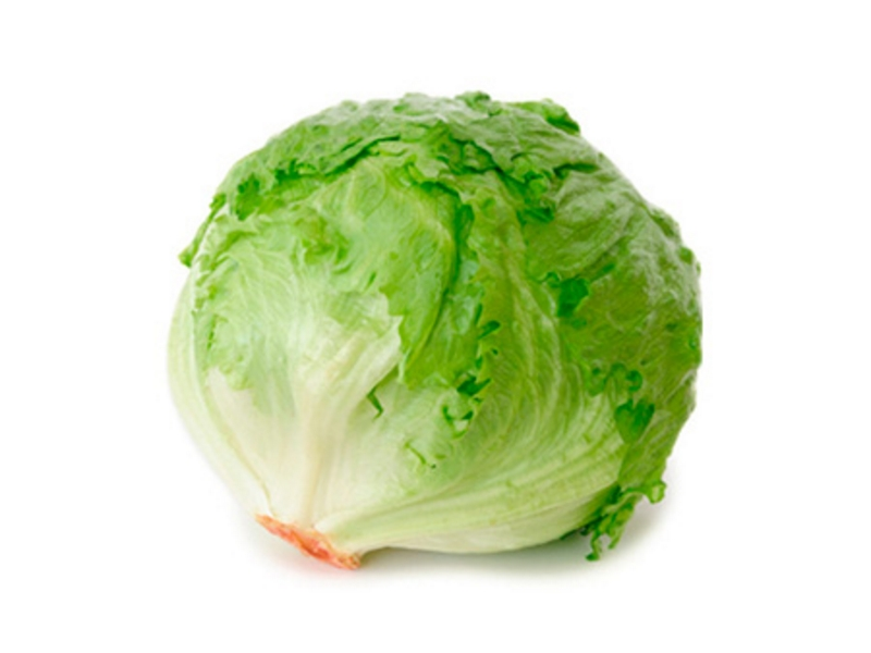 LECHUGA CREMOSA SIN MARCA