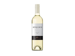 VINO BLANCO BENJAMIN NIETO