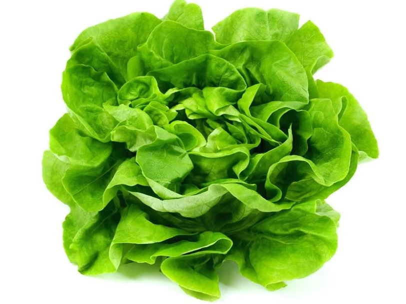 LECHUGA SIN MARCA CREMOSA x 1 kg.