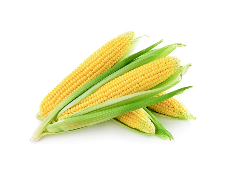 CHOCLOS SIN MARCA S/D x 1 un.