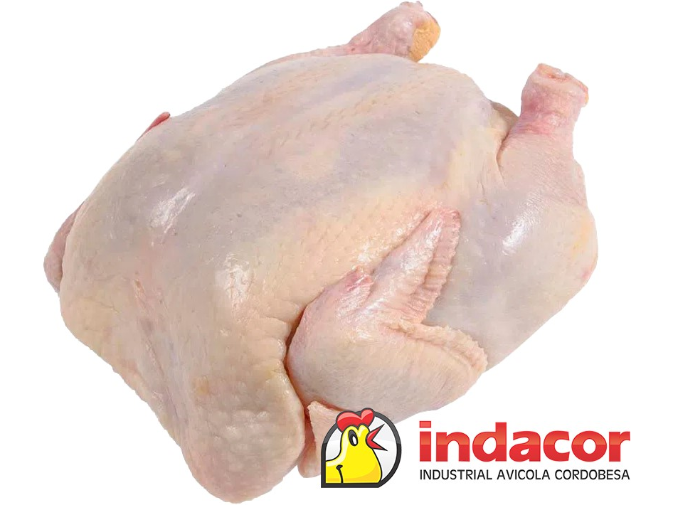 POLLO INDACOR