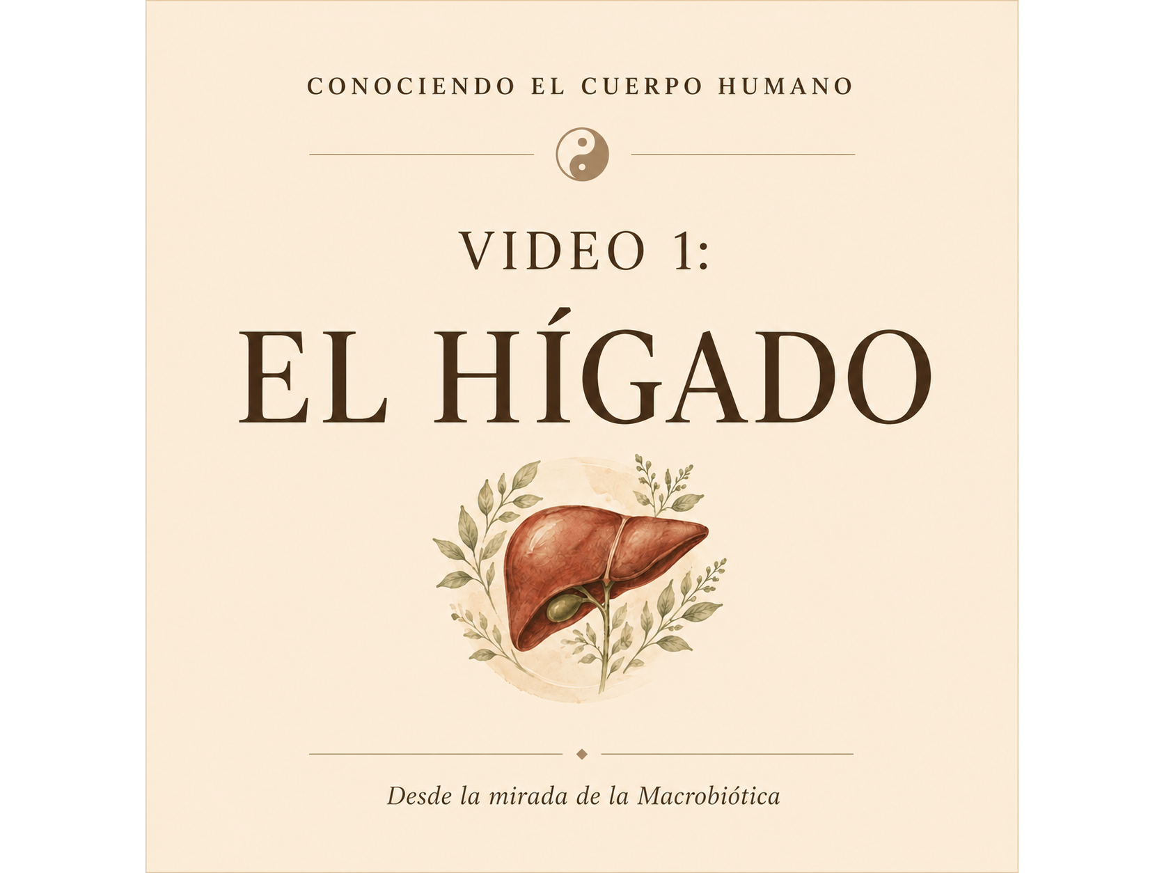 Video 1: El Hígado