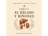 Video 5: Hígado y riñones