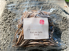 Raiz de Loto Seca - 25grs