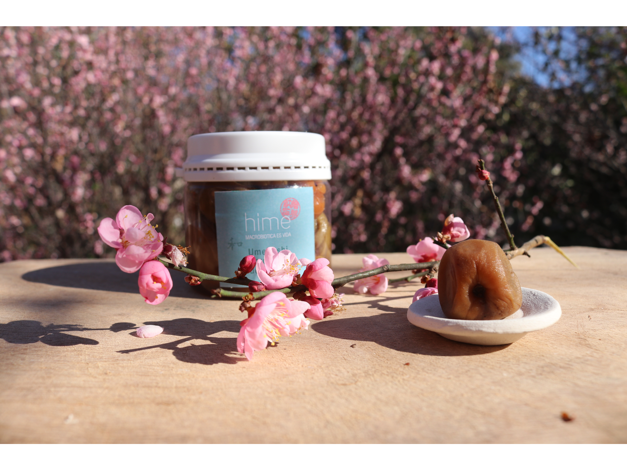 Umeboshi - 200grs pote