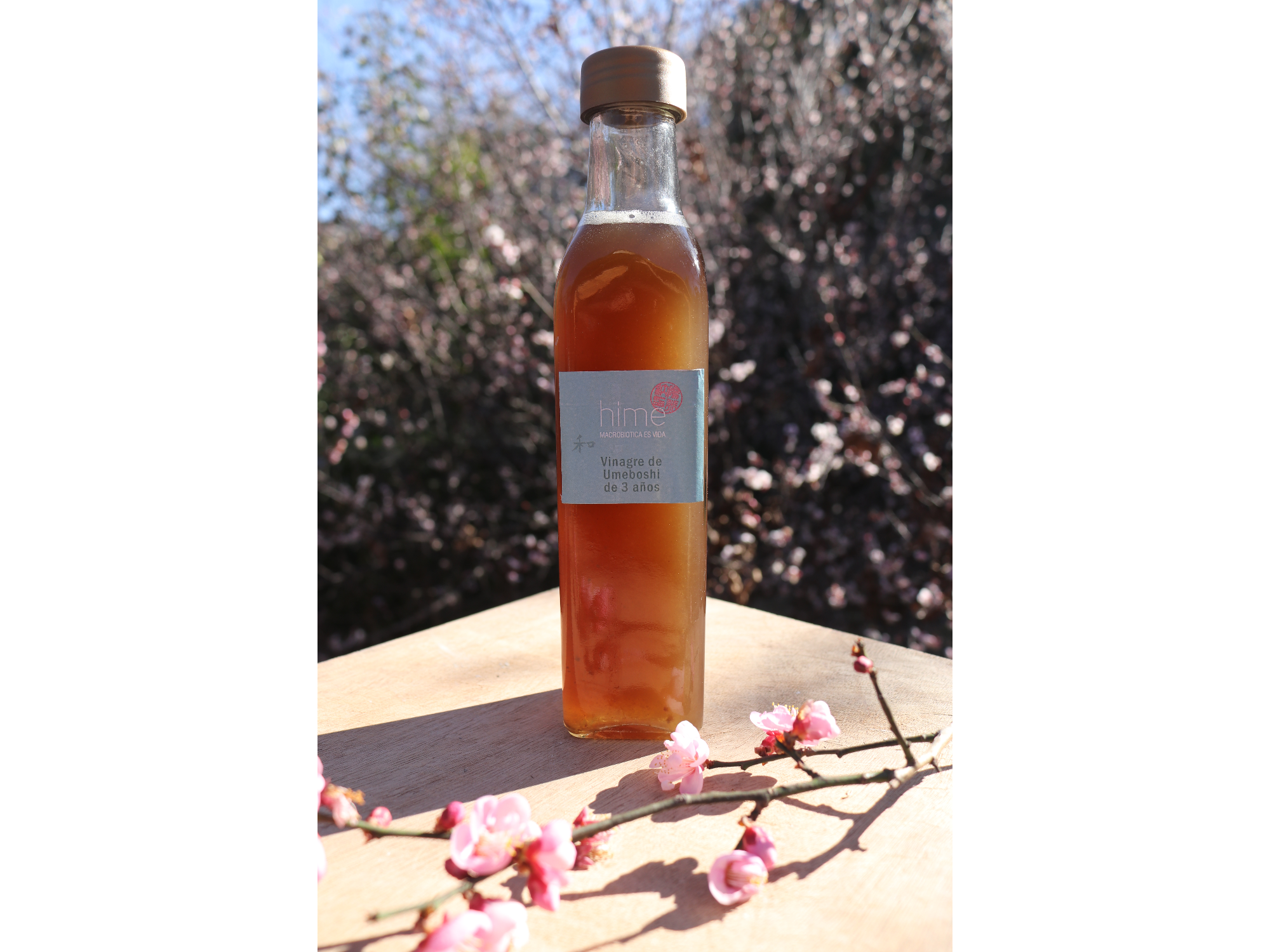 Vinagre de Umeboshi - en vidrio 250 cc